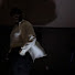 5iLIgKIXtXQ-channel-avatar-SHAWNSTER 213