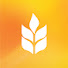 HLJ3bBx6gFc-channel-avatar-Calvary Chapel Chino Valley