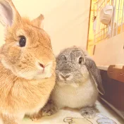 【うさパラ🐰cafe 】YouTube支店