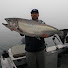 WE_ir16IRXs-channel-avatar-ChrisPfish