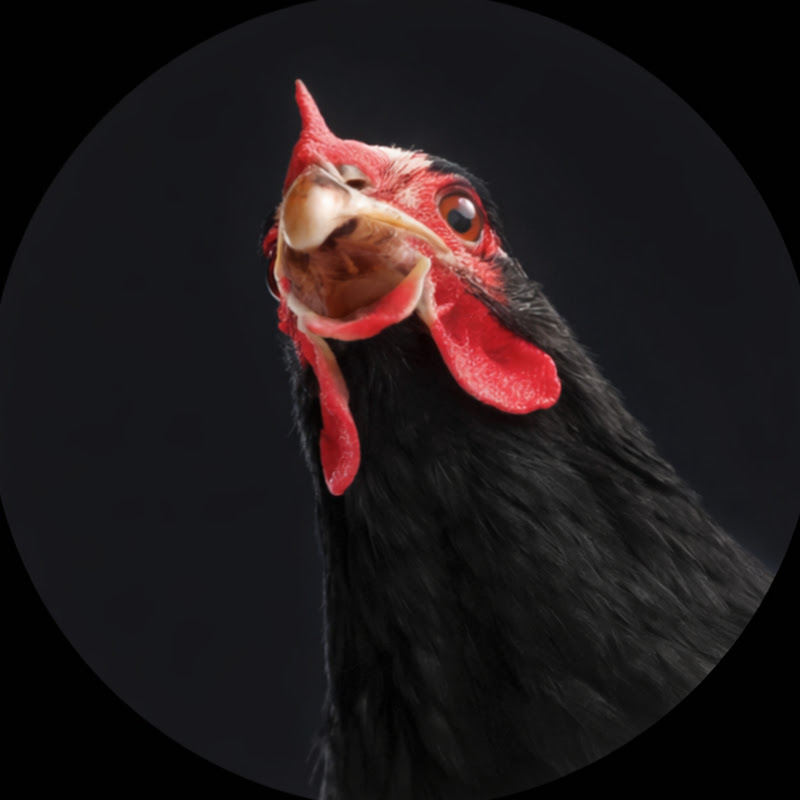 RDO