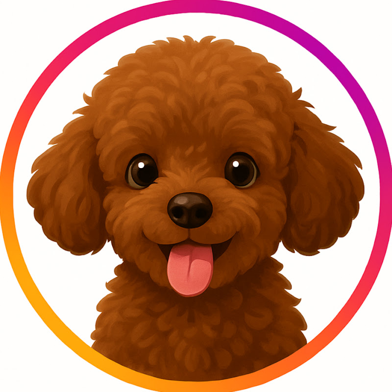 아기강아지 원두