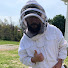 mQ9kpnReIf4-channel-avatar-Maverick and the Bees 