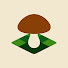 zwH_eFnijiY-channel-avatar-Mushroom Spot