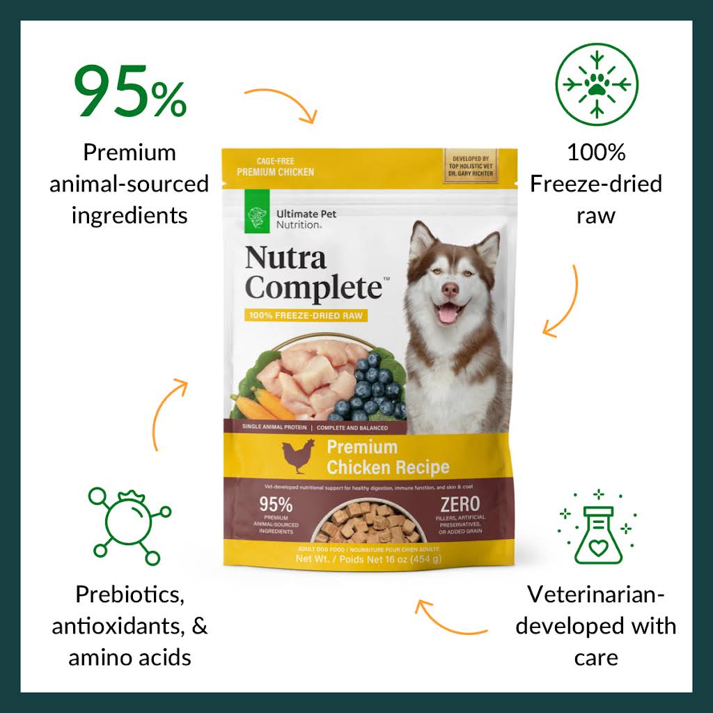 What Does Dr Gary Richter Say About Dog Nutrition: Expert Insights