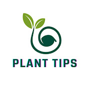 Plant Tips