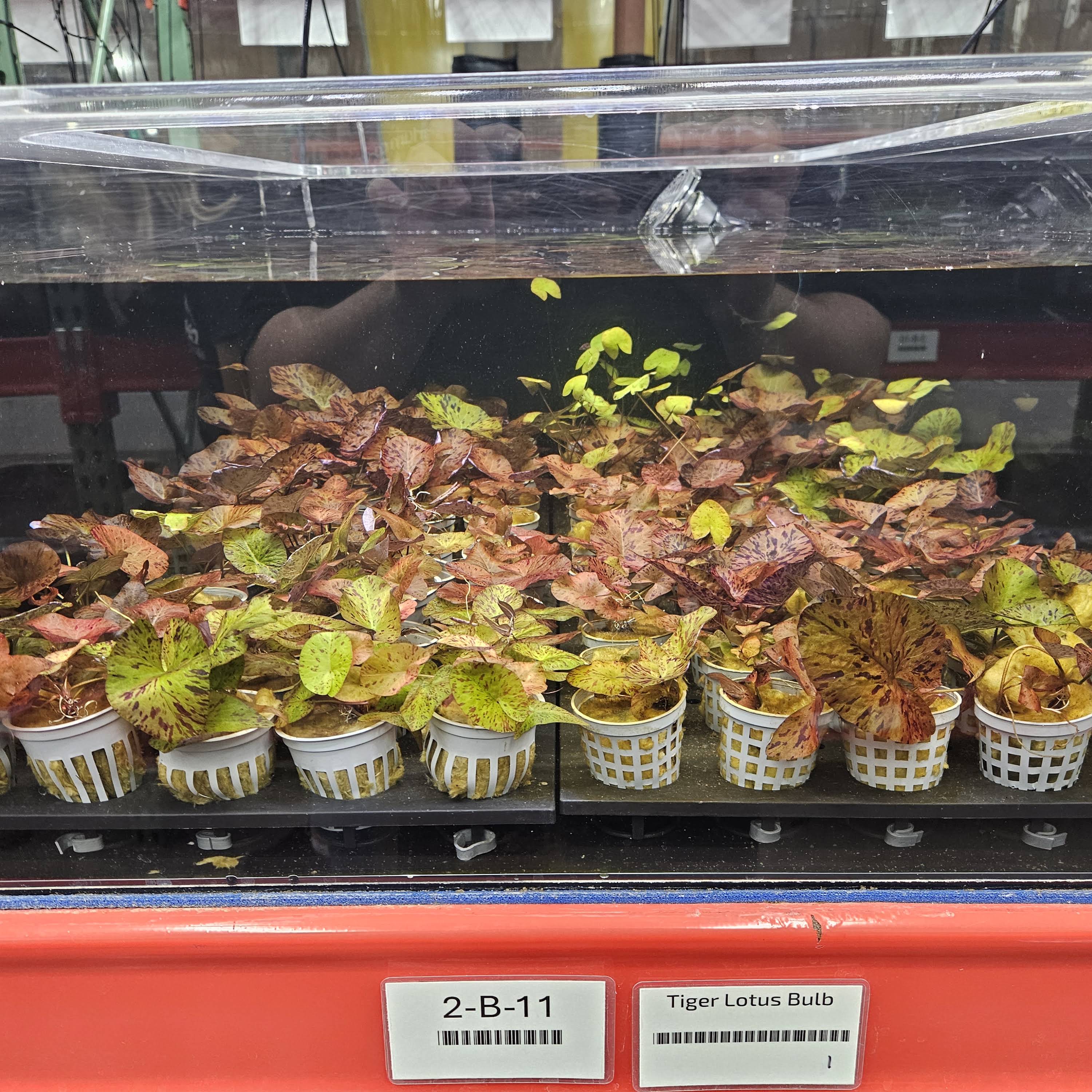 Community post