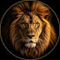xox6Zh_L-N8-channel-avatar-Natur ohne Grenzen