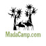 mmDnextBpjA-channel-avatar-madacamp