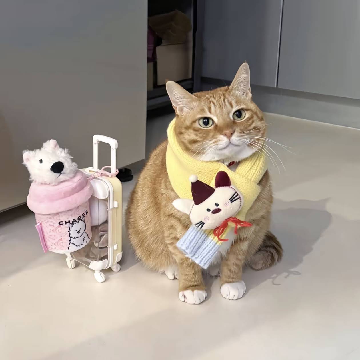 Post from Catherine Ren