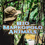 Bio_Markopolo🔹 logo