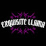 itcttZAGZTk-channel-avatar-ExquisiteLlama