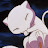 @frostievgc Avatar