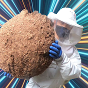 滋賀のハチ駆除 ジェイ・ワークス