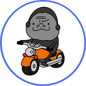 ゴリダー【距離ガバキャンパー】