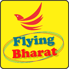 Flying Bharat avatar