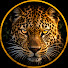 uw1GotqAAoY-channel-avatar-INSTINTO SALVAJE