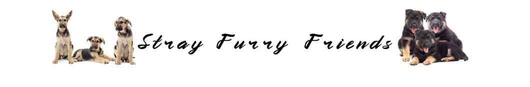 Stray Furry Friends Banner