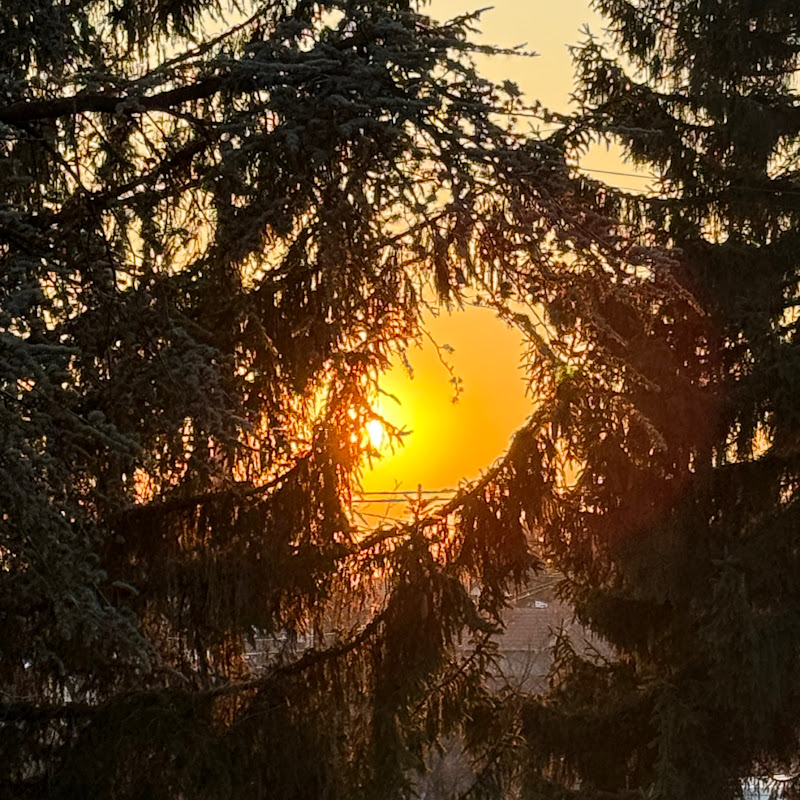 IceyM