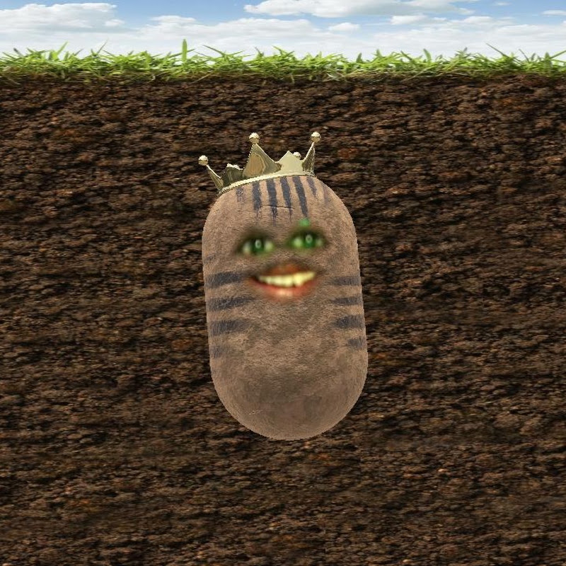 MrPotato
