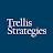 Trellis Strategies