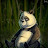 @YhyaOsama-w5o