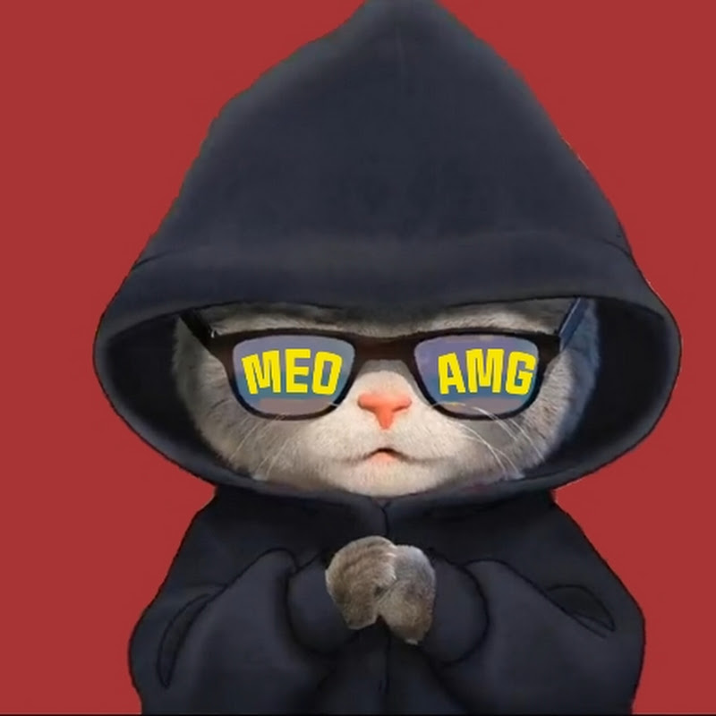 MÉO AMG VN