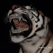 𝒔𝒂𝒓𝒂¹⁵