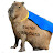 super capybara