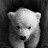 @nicolanicoca3505's avatar