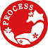 xSPxirNqazQ-channel-avatar-PROCESS J