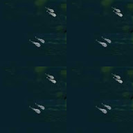thumbnail img1x1