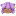 メンバー(1 か月)