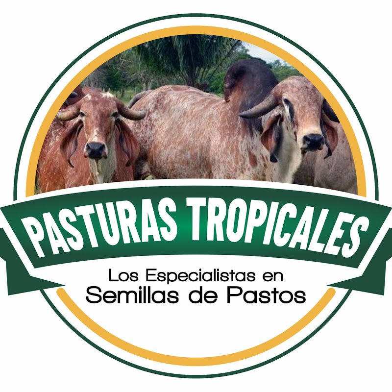 Pasturas Tropicales