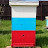 Siberian beekeeping blog