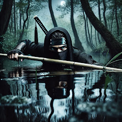NinjaChronicles