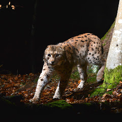 Bildung & Natur 🇨🇭