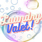 Laundry Valet Pro logo