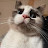 @imranmoussaaif2955