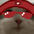 6_N-1H5-Rbs-channel-avatar-1tzHooded