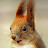 @generalistlogic's avatar