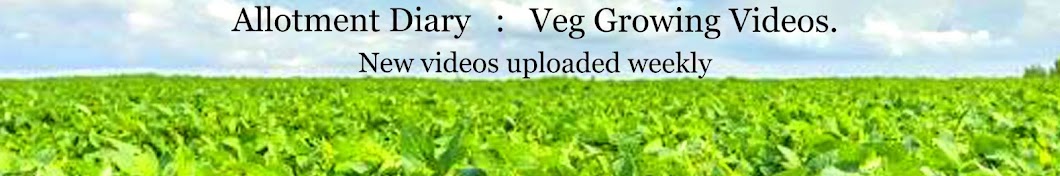 Allotment Diary YouTube channel avatar