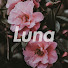 9QkEYB0l4aA-channel-avatar-zLuna_