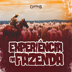 Marco Brasil - Topic