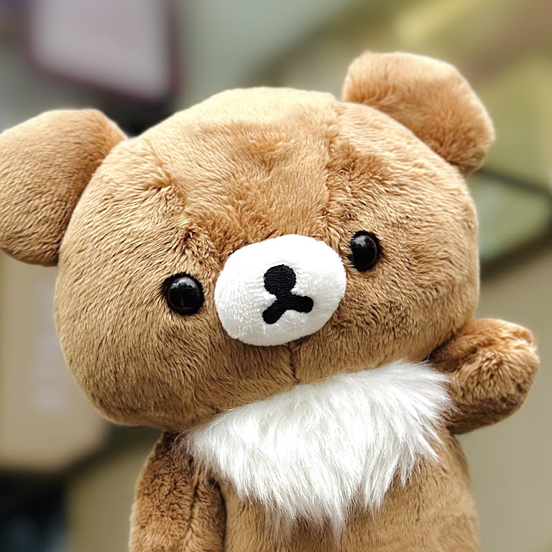 다케모토곰 Logo