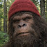 8TxH5BOR3DA-channel-avatar-Woodsman Tales