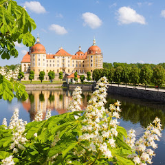 Visit Moritzburg