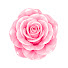 E6HRy4_0ujs-channel-avatar-Rosy Picks 