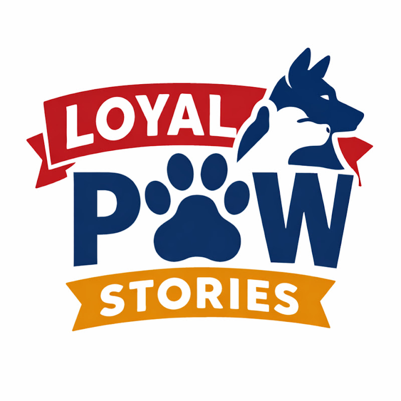 Loyal Paw Stories