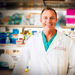 Dr. Paul Wischmeyer  Avatar